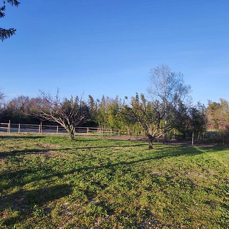 Maison A La Campagne Bouchet  Bagian luar foto