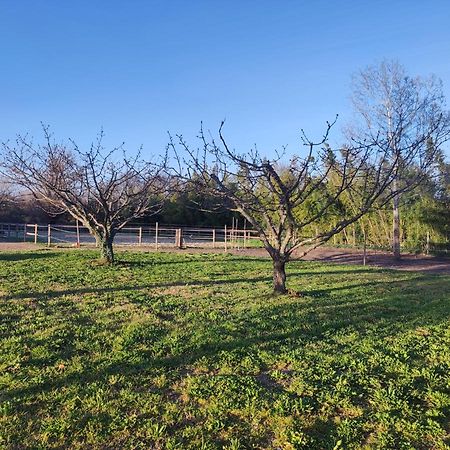 Maison A La Campagne Bouchet  Bagian luar foto