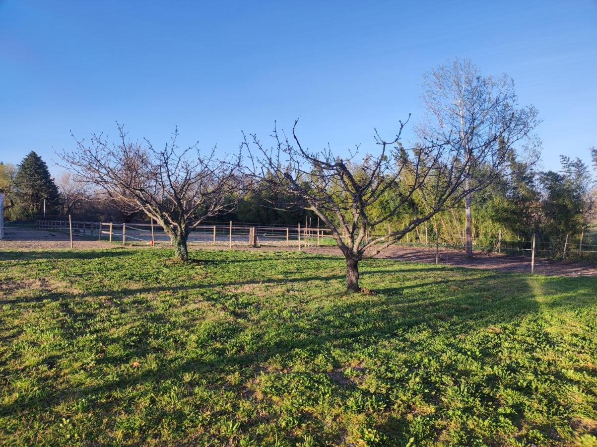 Maison A La Campagne Bouchet  Bagian luar foto